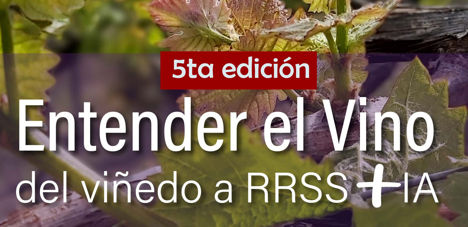 EN OCTUBRE VUELVE «ENTENDER EL VINO DEL VIÑEDO A RRSS» - WIP.cl WIP.cl